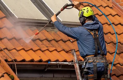 Démoussage et hydrofuge de toiture à Gronard